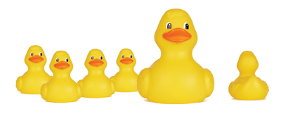 duck
