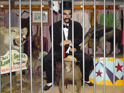 circus