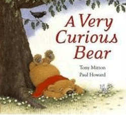 bear bear