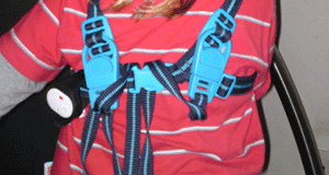 harness1