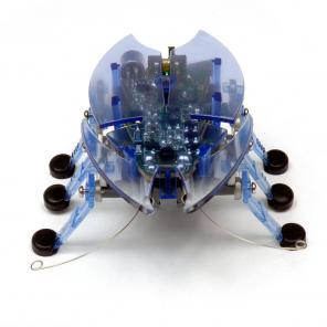hex bug