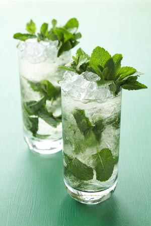 Mint Angel