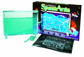ants
