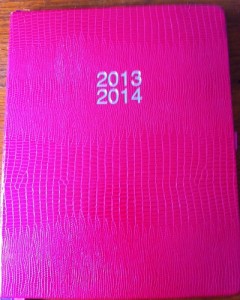 diary 4