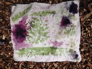 forest school