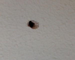 Create hole with Takker