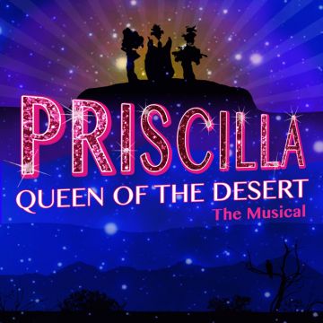 Priscilla queen of the desert bristol musical comedy club