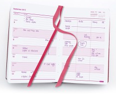 diary