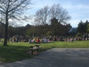 Sunny weather busy castle park