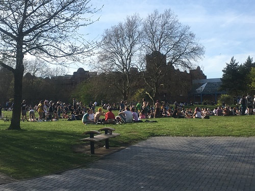 Sunny weather busy castle park