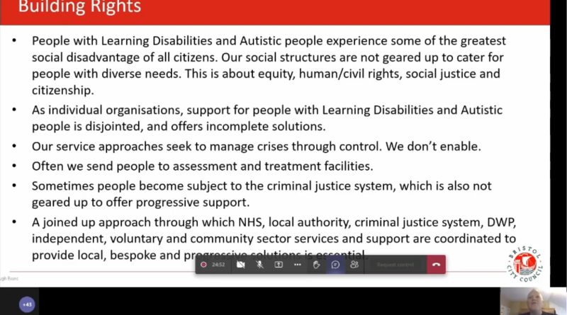 Bristol City Council Autism Failures - photo of a screen shot of online meeting