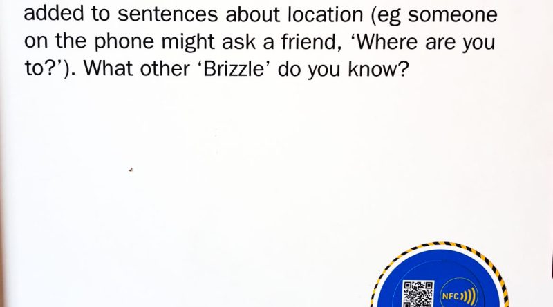 Brizzle M Shed