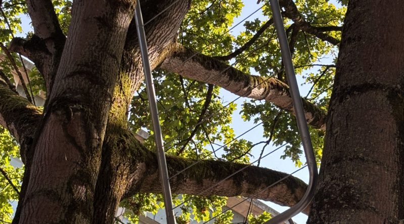 Broadmead Bristol Railing