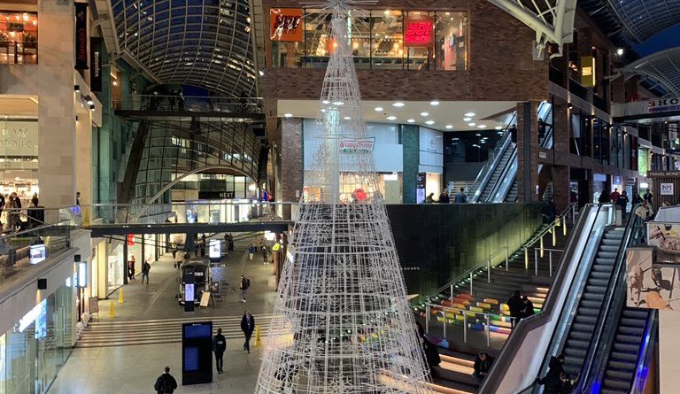 Cabot Circus Christmas Tree 2023