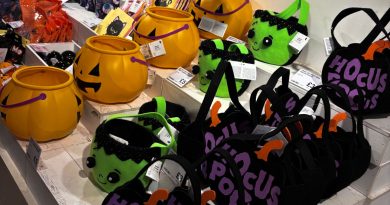 Halloween in Bristol
