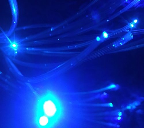 Sensory lights activity