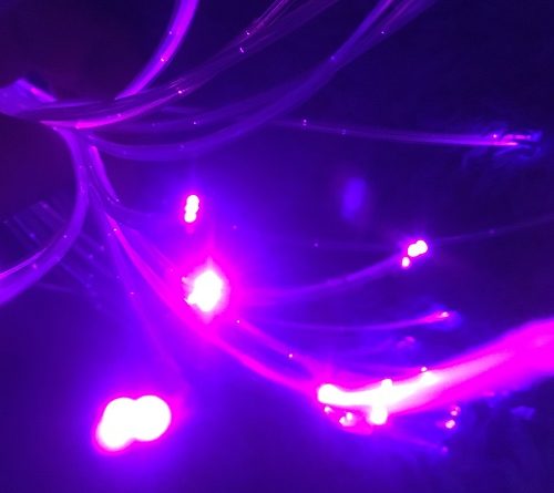 Sensory lights activity