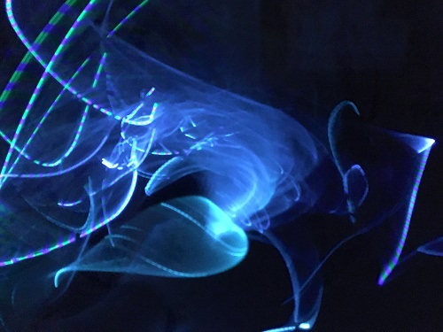 Sensory lights activity