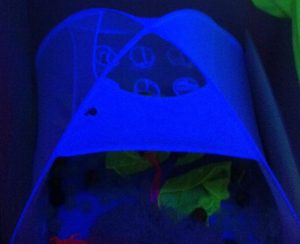 Sensory Space Sensory Play