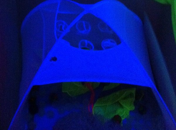 Sensory Space Sensory Play