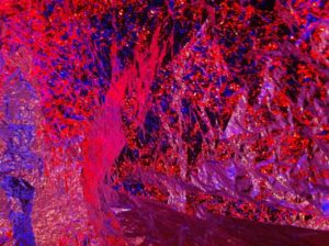 Sensory Space Sensory Play