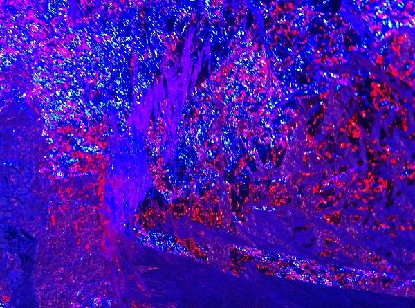 Sensory Space Sensory Play