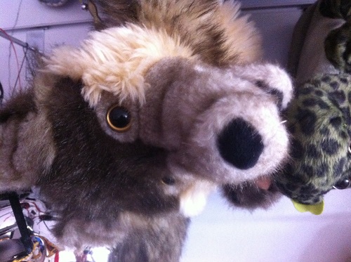 Sensory Space Sensory Play