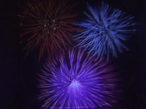 sensory lights firework lights gun