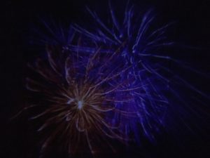 sensory lights firework lights gun