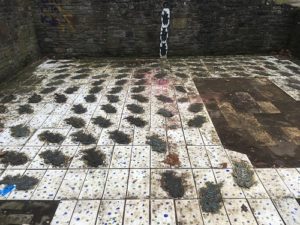Castle Park Fish Art Bristol