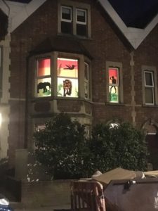 Window Wanderland Southville Bristol 2018