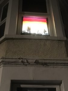 Window Wanderland Southville Bristol 2018