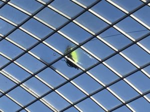 Cabot Circus Glass Roof Repair Bristol