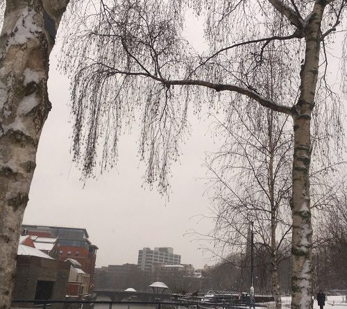 Snow Bristol Photograph images March 2018