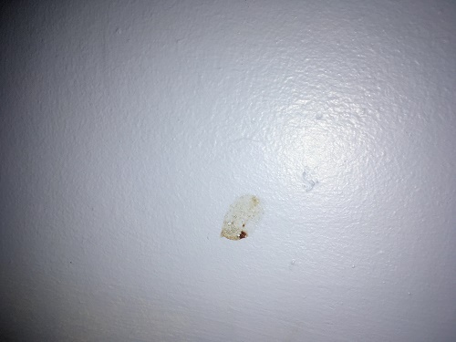 Butlins Minehead Standard Room