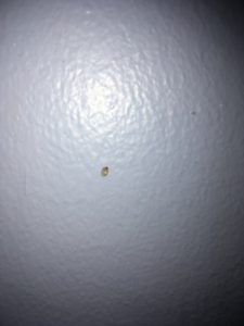 Butlins Minehead Standard Room