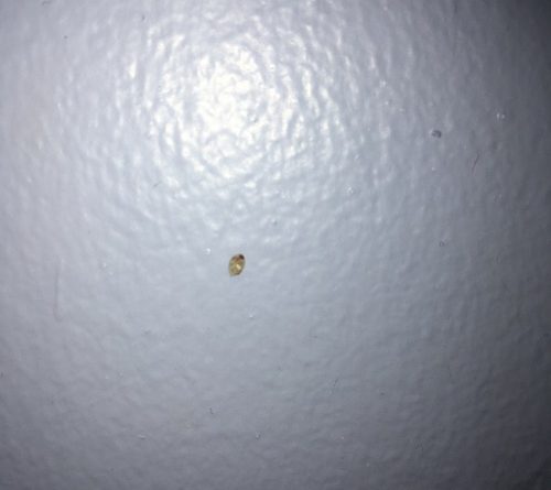 Butlins Minehead Standard Room