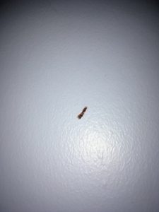 Butlins Minehead Standard Room