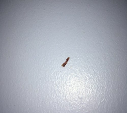 Butlins Minehead Standard Room