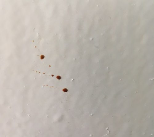 Butlins Minehead Standard Room