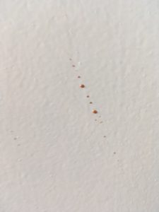 Butlins Minehead Standard Room