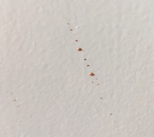 Butlins Minehead Standard Room