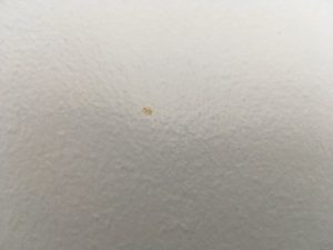 Butlins Minehead Standard Room