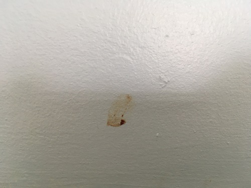 Butlins Minehead Standard Room