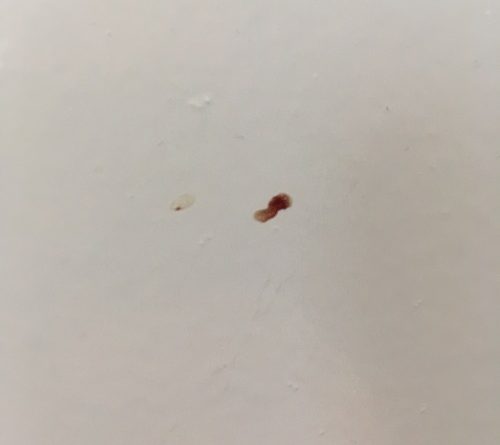 Butlins Minehead Standard Room