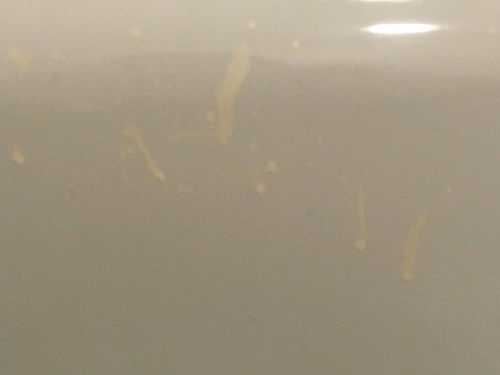 Butlins Minehead Standard Room