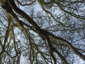 St Pauls Adventure Playground Bristol