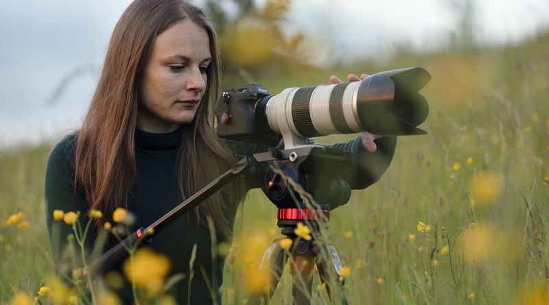 Wildscreen Storytelling Internship Scheme