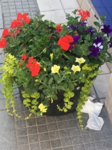 flower baskets broadmead bristol