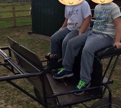 Stolen Horse Carriage Frome